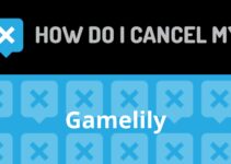 How to Cancel Gamelily How to Cancel Gamelily